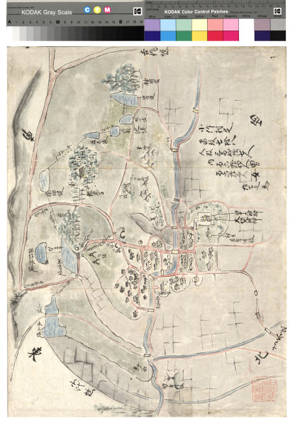 坪井竹類図譜 (1977年)(中古品)